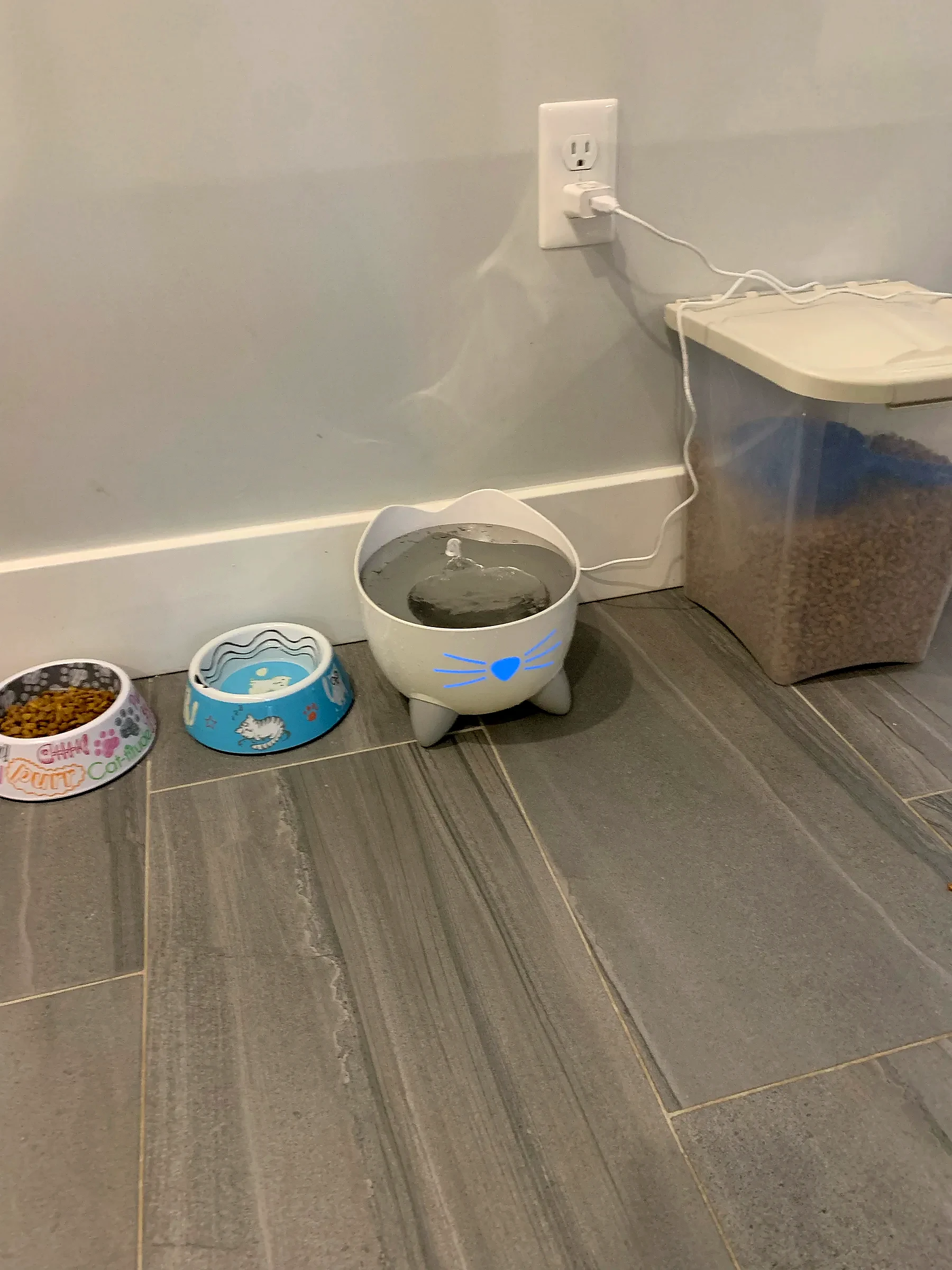 Pet-friendly cleaning station setup for Bedford homes with dogs and cats